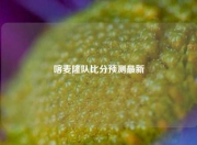 喀麦隆队比分预测最新