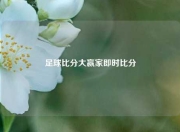 足球比分大赢家即时比分
