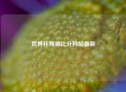 世界杯预测比分网站最新