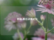 历届s赛总决赛比分