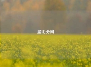 皇比分网