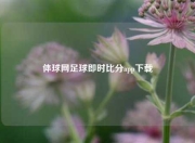 体球网足球即时比分app下载