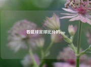 看篮球足球比分的app