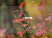 一比分即时