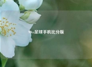 90vs足球手机比分版