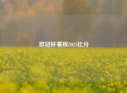欧冠杯赛程2021比分