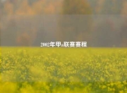 2002年甲a联赛赛程