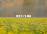 欧锦赛比分最新