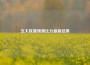 五大联赛预测比分最新结果
