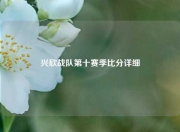 兴欣战队第十赛季比分详细