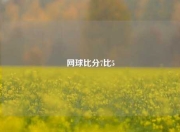 网球比分7比5