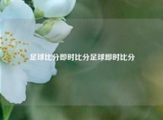 足球比分即时比分足球即时比分