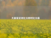 大赢家足球比分即时比分赢