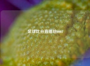 足球比分直播尬0001