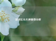 足球比分大神推荐分析