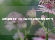 湖北棋牌平台开发公司创新与服务的完美结合