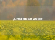 spbo1体球网足球比分电脑版
