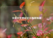 卡塔尔世界杯比分推荐预测