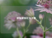 旧版捷报比分下载