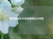 篮球即时比分足球即时比分手机