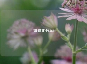 篮球比分360
