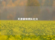 天津康师傅队比分