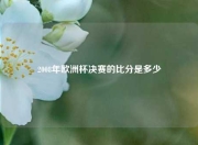 2008年欧洲杯决赛的比分是多少