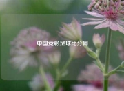 中国竞彩足球比分网