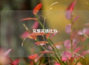 完整完场比分