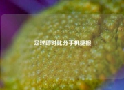 足球即时比分手机捷报