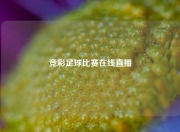 竞彩足球比赛在线直播