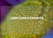 258棋牌平台探索在线娱乐新世界