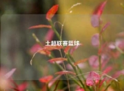 土超联赛篮球