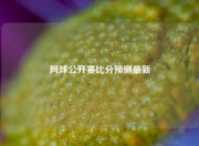 网球公开赛比分预测最新