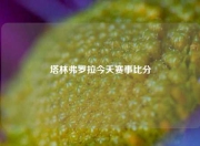 塔林弗罗拉今天赛事比分