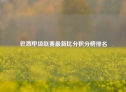 巴西甲级联赛最新比分积分榜排名