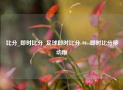 比分_即时比分_足球即时比分-90vs即时比分移动版