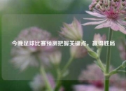 今晚足球比赛预测把握关键点，赢得胜局