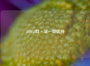 333814红·足一世比分