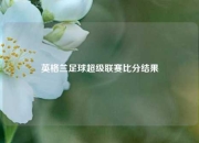 英格兰足球超级联赛比分结果