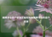 棋牌平台客户资源挖掘和利用棋牌平台的客户资源