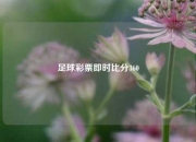 足球彩票即时比分360