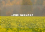 ds足球比分视频在线观看