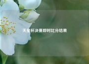 天皇杯决赛即时比分结果