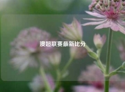 澳超联赛最新比分