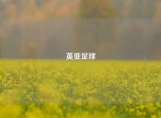英亚足球