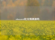 whoscored比分预测准吗