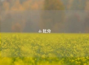 ds 比分