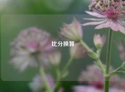 比分换算