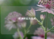 欧洲杯比分实况